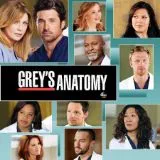 Grey’s Anatomy Season Nine - 2013 - Review