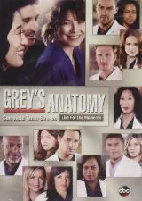 Grey’s Anatomy Season Ten - 2014 - Review