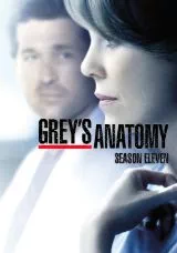 Grey’s Anatomy Season Eleven - 2015 - Review