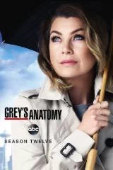 Grey’s Anatomy Season Twelve - 2016 - Review