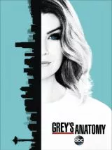 Grey’s Anatomy Season Thirteen - 2017 - Review