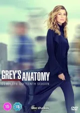 Grey’s Anatomy Season Sixteen- 2020 - Review